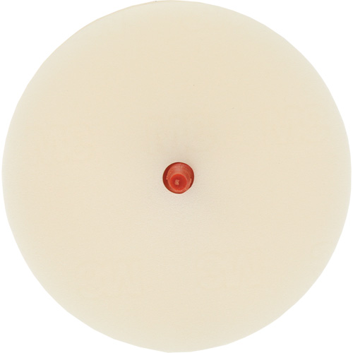 Scotch-Brite Moulding Adhesive & Stripe Removal Disc, 7501, 4" Dia. Nuna Depot Inc.