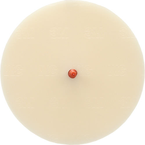 Scotch-Brite Moulding Adhesive and Stripe Removal Disc 7502, 6" Dia. Nuna Depot Inc.