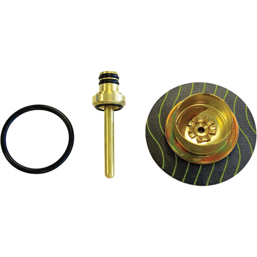 Filter/Regulator - Relieving Diaphragm & Valve Assembly Nuna Depot Inc.