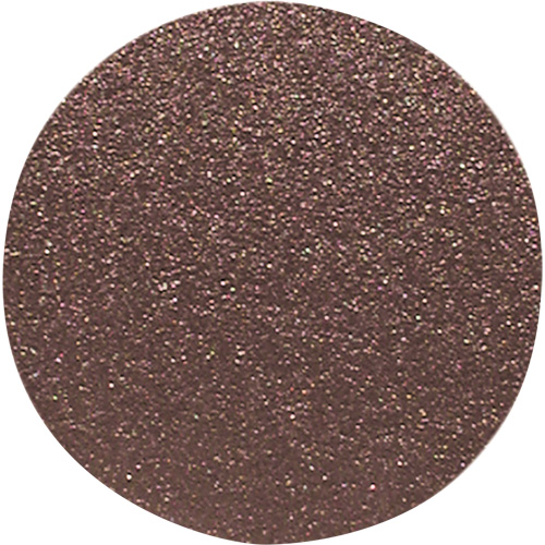 Disque de ponçage pour le bois, 12" dia., Grain 100 Nuna Depot Inc.