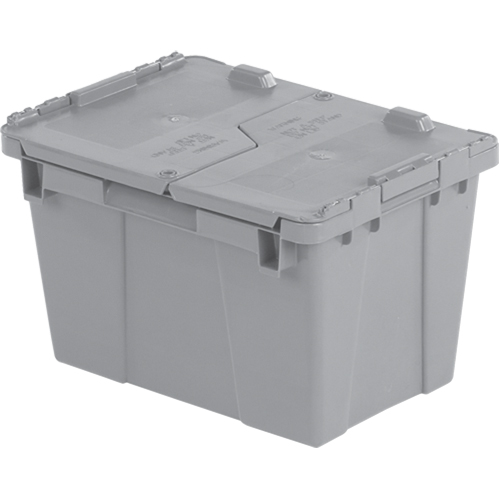 Flipak&reg; Polyethylene Plastic (PE) Distribution Containers, 15.2" x 10.9" x 9.7", Grey Nuna Depot Inc.