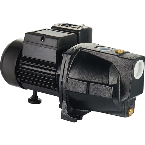 Dual Voltage Cast Iron Shallow Well Jet Pump, 115 V/230 V, 1100 GPH, 1 HP Nuna Depot Inc.