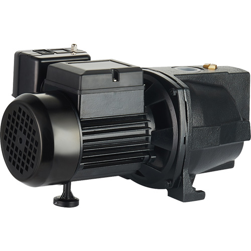Dual Voltage Cast Iron Shallow Well Jet Pump, 115 V/230 V, 1100 GPH, 1 HP Nuna Depot Inc.