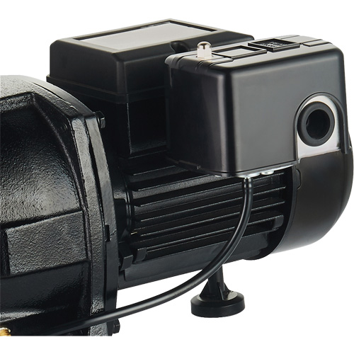 Dual Voltage Cast Iron Shallow Well Jet Pump, 115 V/230 V, 1100 GPH, 1 HP Nuna Depot Inc.