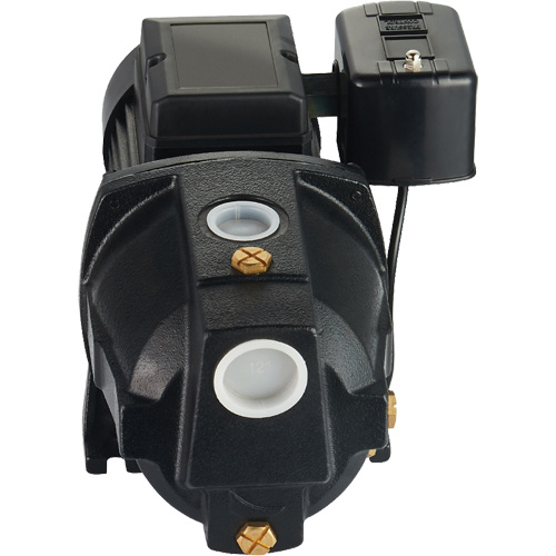 Dual Voltage Cast Iron Shallow Well Jet Pump, 115 V/230 V, 1100 GPH, 1 HP Nuna Depot Inc.