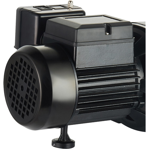 Dual Voltage Cast Iron Shallow Well Jet Pump, 115 V/230 V, 1100 GPH, 1 HP Nuna Depot Inc.