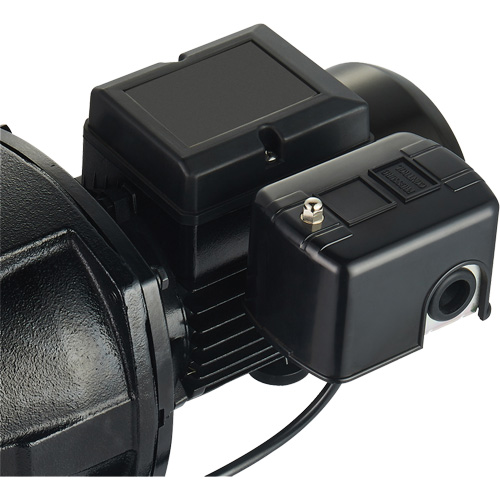Dual Voltage Cast Iron Shallow Well Jet Pump, 115 V/230 V, 1100 GPH, 1 HP Nuna Depot Inc.