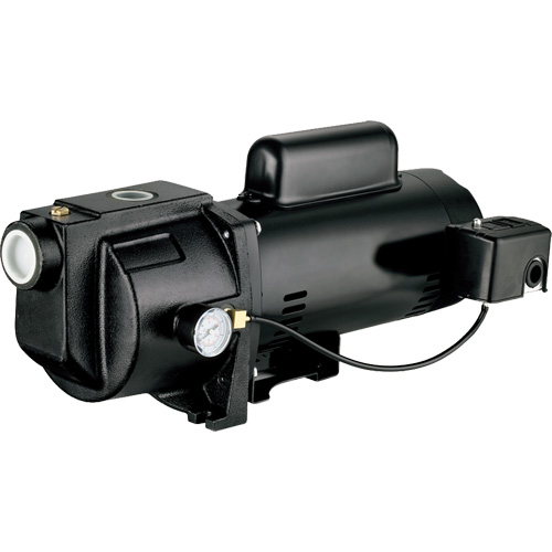 Dual Voltage Cast Iron Shallow Well Jet Pump, 115 V/230 V, 1260 GPH, 1 HP Nuna Depot Inc.