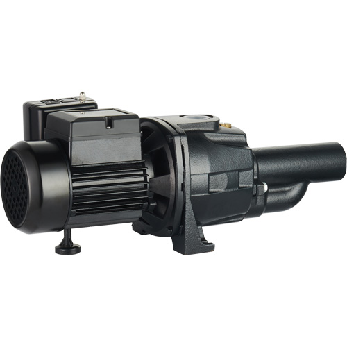 Dual Voltage Cast Iron Convertible Jet Pump, 115 V/230 V, 1400 GPH, 3/4 HP Nuna Depot Inc.