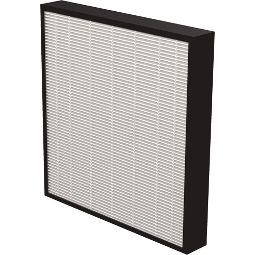 AeraMax&reg; Pro AM3 & AM4 2" True HEPA Filter, Box, 13.75" W x 2.25" D x 14.38" H Nuna Depot Inc.