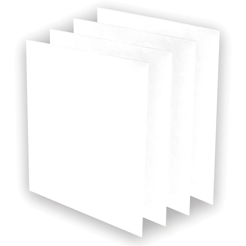 Pr&eacute;-filtres AeraMax Pro AM3 ou AM4, 13,75" la x 0,13" p x 14,38" h Nuna Depot Inc.