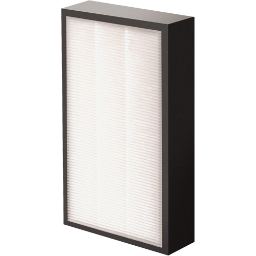 AeraMax&reg; Pro AM2 1-3/4" True HEPA Filter, Box, 7.38" W x 1.88" D x 12.88" H Nuna Depot Inc.