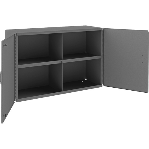 Wall-Mountable Cabinet, 24" H x 33-13/16" W x 12-3/8" D, 1 Shelves, Steel, Grey Nuna Depot Inc.