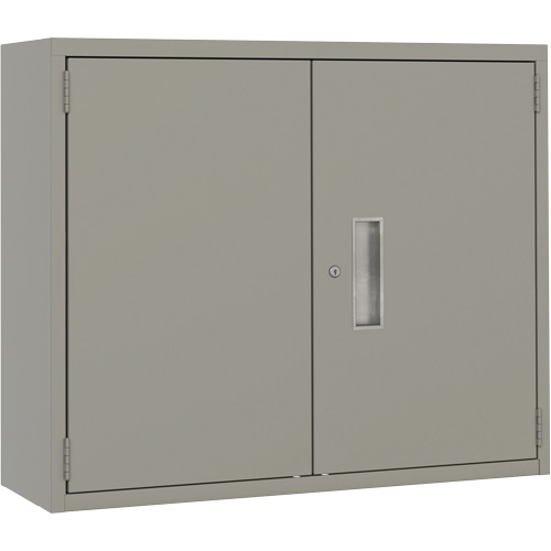 Armoire murale, Acier, 2 Tablettes, 30" h x 36" la x 12" P, Gris Nuna Depot Inc.