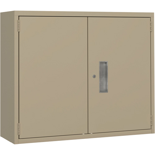 Wall Mounted Cabinet, Steel, 2 Shelves, 30" H x 36" W x 12" D, Beige Nuna Depot Inc.