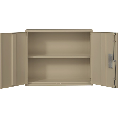 Wall Mounted Cabinet, Steel, 2 Shelves, 30" H x 36" W x 12" D, Beige Nuna Depot Inc.