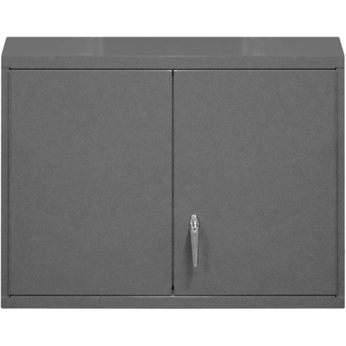 Wall-Mounted Cabinet, 27" H x 29-7/8" W x 13-11/16" D, 2 Shelves, Steel, Grey Nuna Depot Inc.