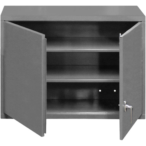 Wall-Mounted Cabinet, 27" H x 29-7/8" W x 13-11/16" D, 2 Shelves, Steel, Grey Nuna Depot Inc.
