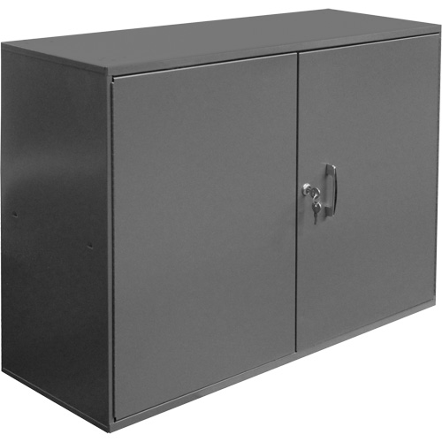Armoire pour accessoires abrasifs, Acier, 2 tiroirs, 33-3/4" x 11-7/8" x 23-7/8", Gris Nuna Depot Inc.