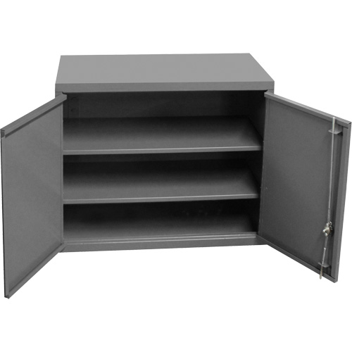 Armoire murale, 27" h x 13-11/16" la x 35-7/8" p, 2 tablettes, Acier, Gris Nuna Depot Inc.