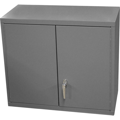 Armoire murale, 27" h x 13-11/16" la x 35-7/8" p, 2 tablettes, Acier, Gris Nuna Depot Inc.