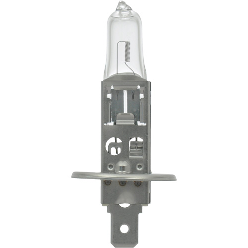 64155 Ampoule automobile de base, Halog&egrave;ne, 78 W, Blanc cass&eacute; Nuna Depot Inc.