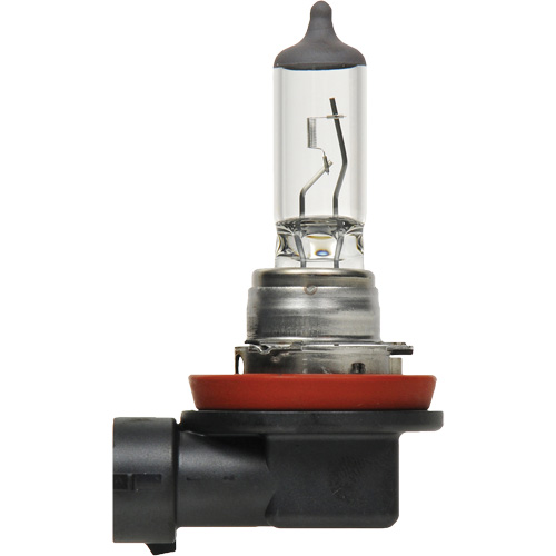 H8 Basic Headlight Bulb, Halogen, 35 W, Off White Nuna Depot Inc.