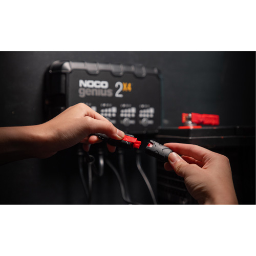 Chargeur de batterie 4 sorties de 8 A Genius 2X4 Nuna Depot Inc.