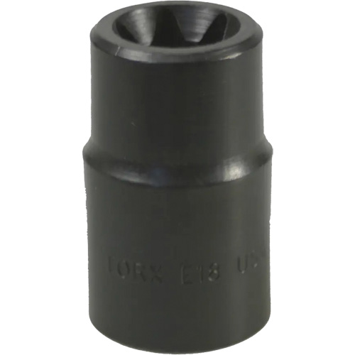 E-18 Torx&reg; Socket Nuna Depot Inc.