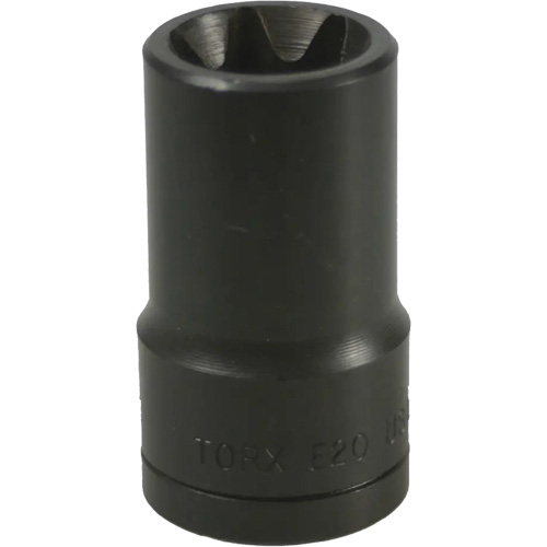E-20 Torx&reg; Socket Nuna Depot Inc.