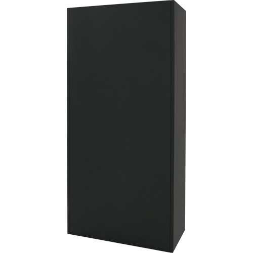 Combination Storage Cabinet, 36" W x 18" D x 72" H, Black Nuna Depot Inc.