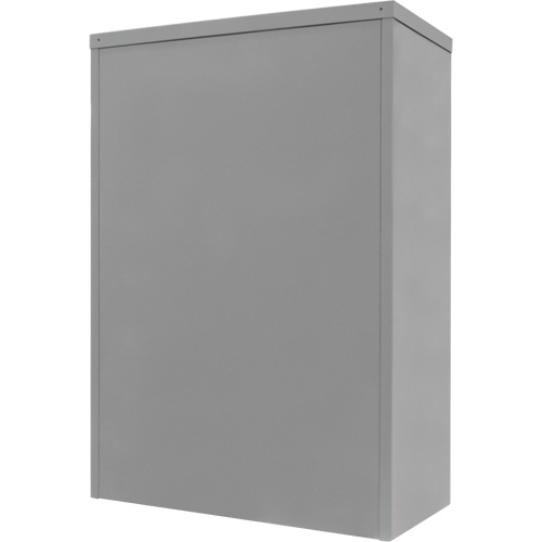 Counter-High Storage Cabinet, Steel, 2 Shelves, 42" H x 30" W x 15" D, Grey Nuna Depot Inc.