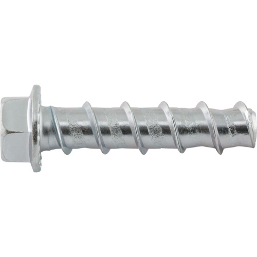 Wedge Bolts, Carbon Steel, 1/2" x 2-1/2" Nuna Depot Inc.