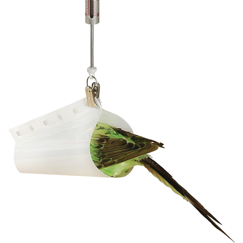 Micro Spring Scale Accessory - Bird Weighing Cone Nuna Depot Inc.