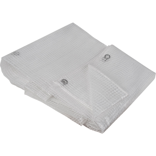 Clear Tarp, 10' x 8' x 8 mils Nuna Depot Inc.