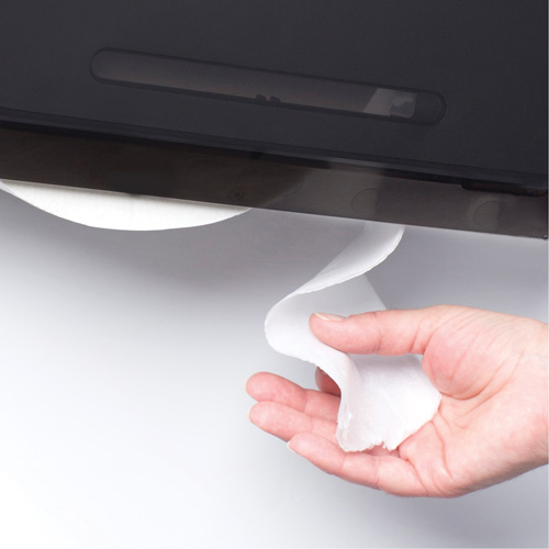 Cored JRT Combo Unit Toilet Paper Dispenser, Multiple Roll Capacity Nuna Depot Inc.