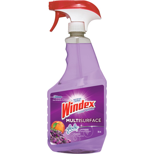 Windex&reg; Multi-Surface Cleaner, 765 ml, Trigger Bottle Nuna Depot Inc.
