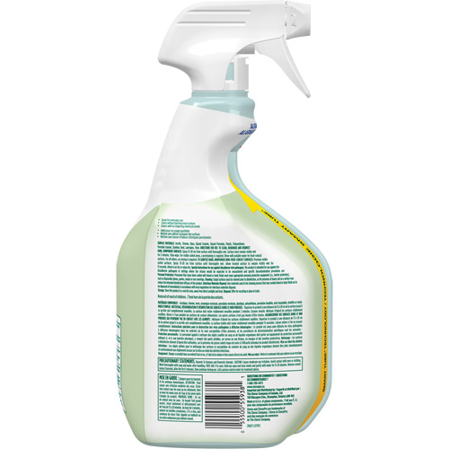 CloroxPro Clorox EcoClean Disinfecting Cleaner, 946 ml, Trigger Bottle Nuna Depot Inc.