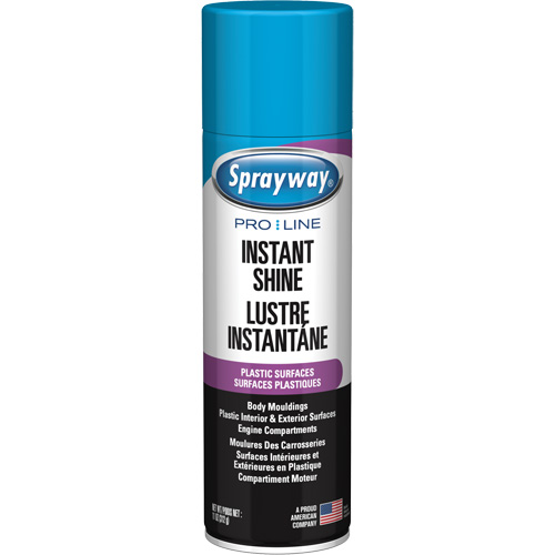 Pro Line Instant Shine for Plastic Surfaces, 11 oz., Aerosol Can Nuna Depot Inc.