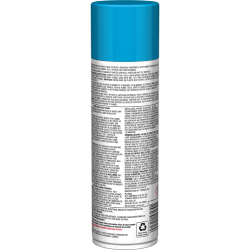 Pro Line Crazy Clean&reg; All Purpose Cleaner, 19 oz., Aerosol Can Nuna Depot Inc.