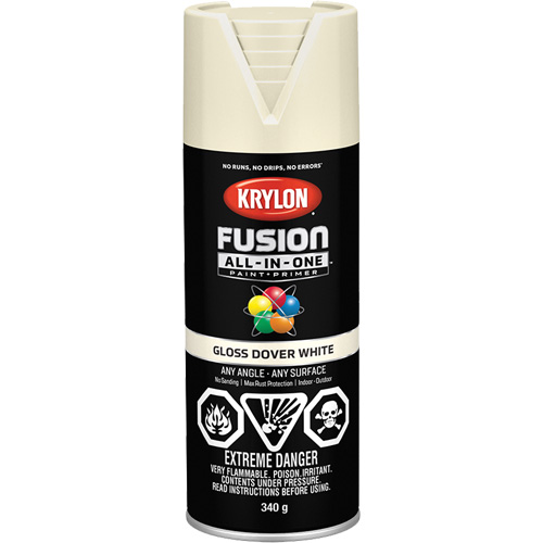 Fusion All-In-One Spray Paint, Dover White, Gloss, 12 oz., Aerosol Can Nuna Depot Inc.