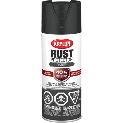 Rust Protector&reg; Enamel Paint, Black, Very Flat, 12 oz., Aerosol Can Nuna Depot Inc.