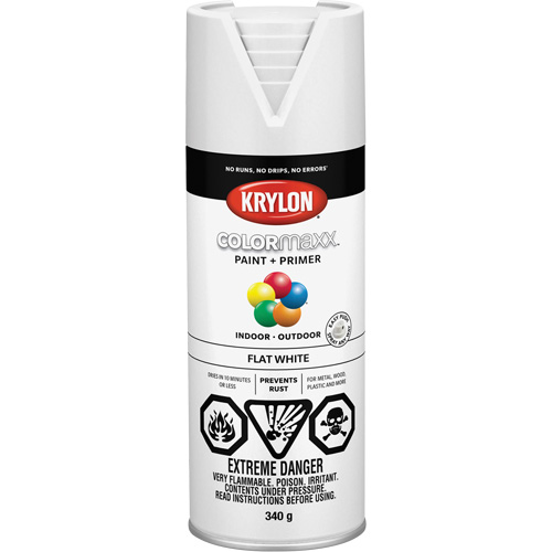 COLORmaxx Paint + Primer, White, Very Flat, 12 oz., Aerosol Can Nuna Depot Inc.