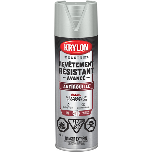 Tough Coat&reg; Advanced Paint with Rust Barrier Technology, Aluminum, Metallic, 425 g, Aerosol Can Nuna Depot Inc.
