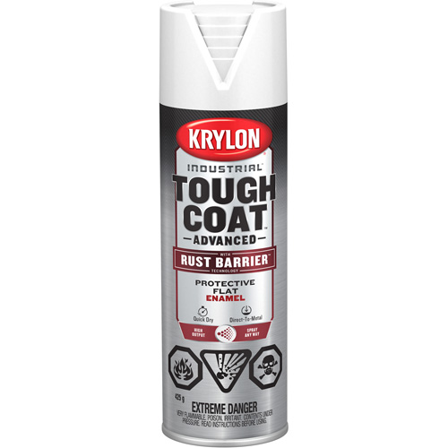 Tough Coat&reg; Advanced Paint with Rust Barrier Technology, White, Flat, 425 g, Aerosol Can Nuna Depot Inc.