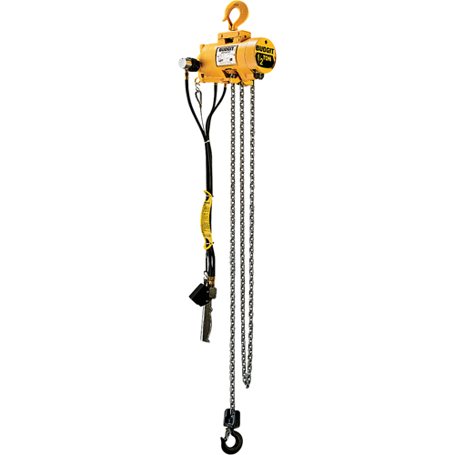 Budgit&reg; Air Chain Hoists Nuna Depot Inc.