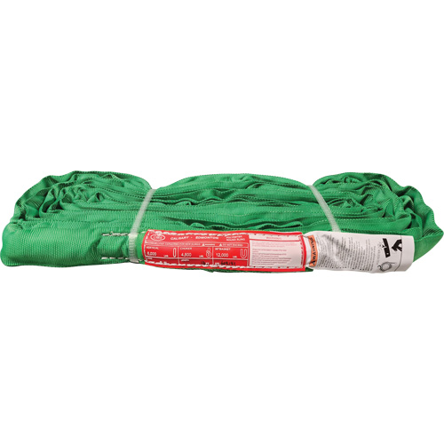&eacute;lingue ronde en polyester, Vert, 12' lo, 6000 lb Charge verticale Nuna Depot Inc.