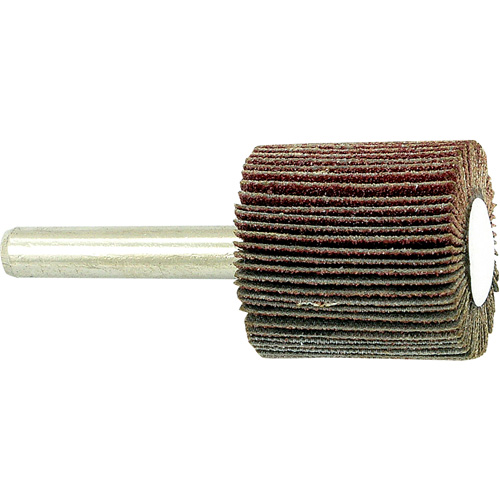 Shaft Mounted Flapwheel, 80 Grit, 1" x 1" x 1/4" Nuna Depot Inc.