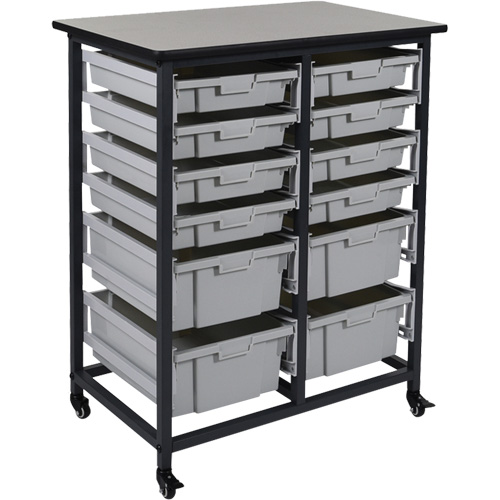 Mobile Bin Storage Unit, Single-sided, 12 bins, 30-3/4" W x 20" D x 37-1/2" H Nuna Depot Inc.