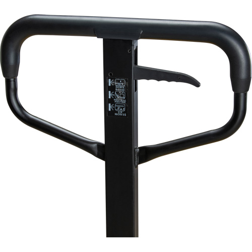 Steel Wheel Pallet Truck, Steel, 48" L x 27" W, 5500 lbs. Capacity Nuna Depot Inc.